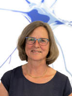 Dr. Susanna Schuberth